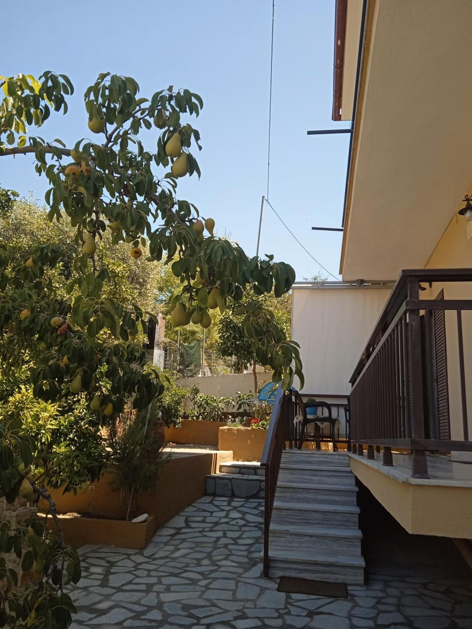 Dimitra'S Garden Apartments Skála Kallirákhis Екстериор снимка